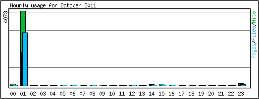 Hourly usage