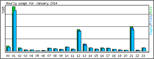 Hourly usage