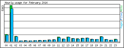 Hourly usage