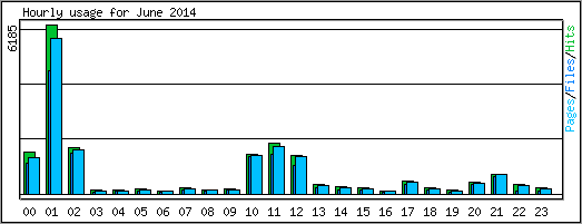 Hourly usage