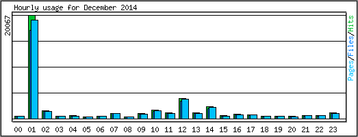 Hourly usage
