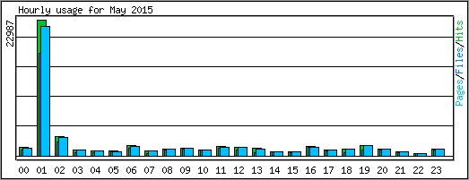 Hourly usage