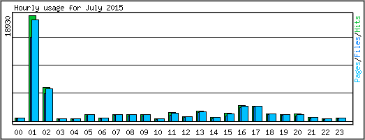 Hourly usage