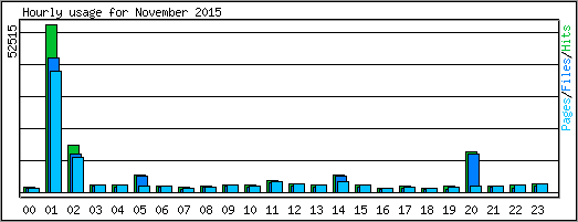 Hourly usage