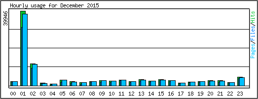 Hourly usage