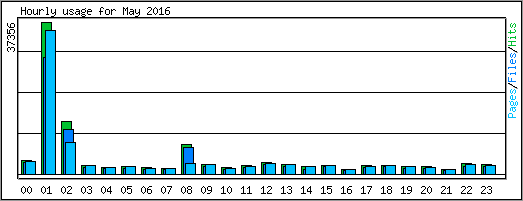 Hourly usage