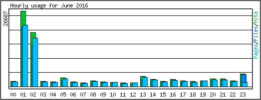 Hourly usage