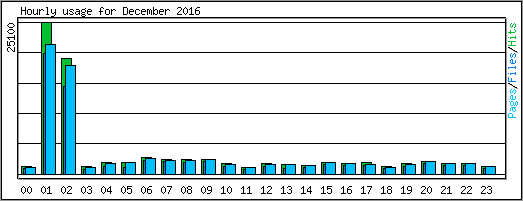 Hourly usage