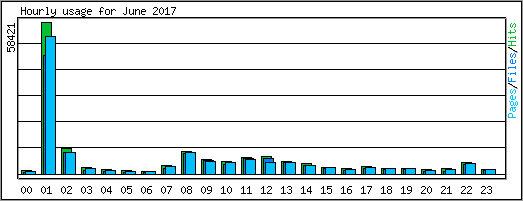Hourly usage
