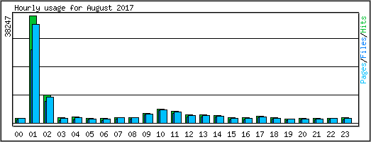 Hourly usage